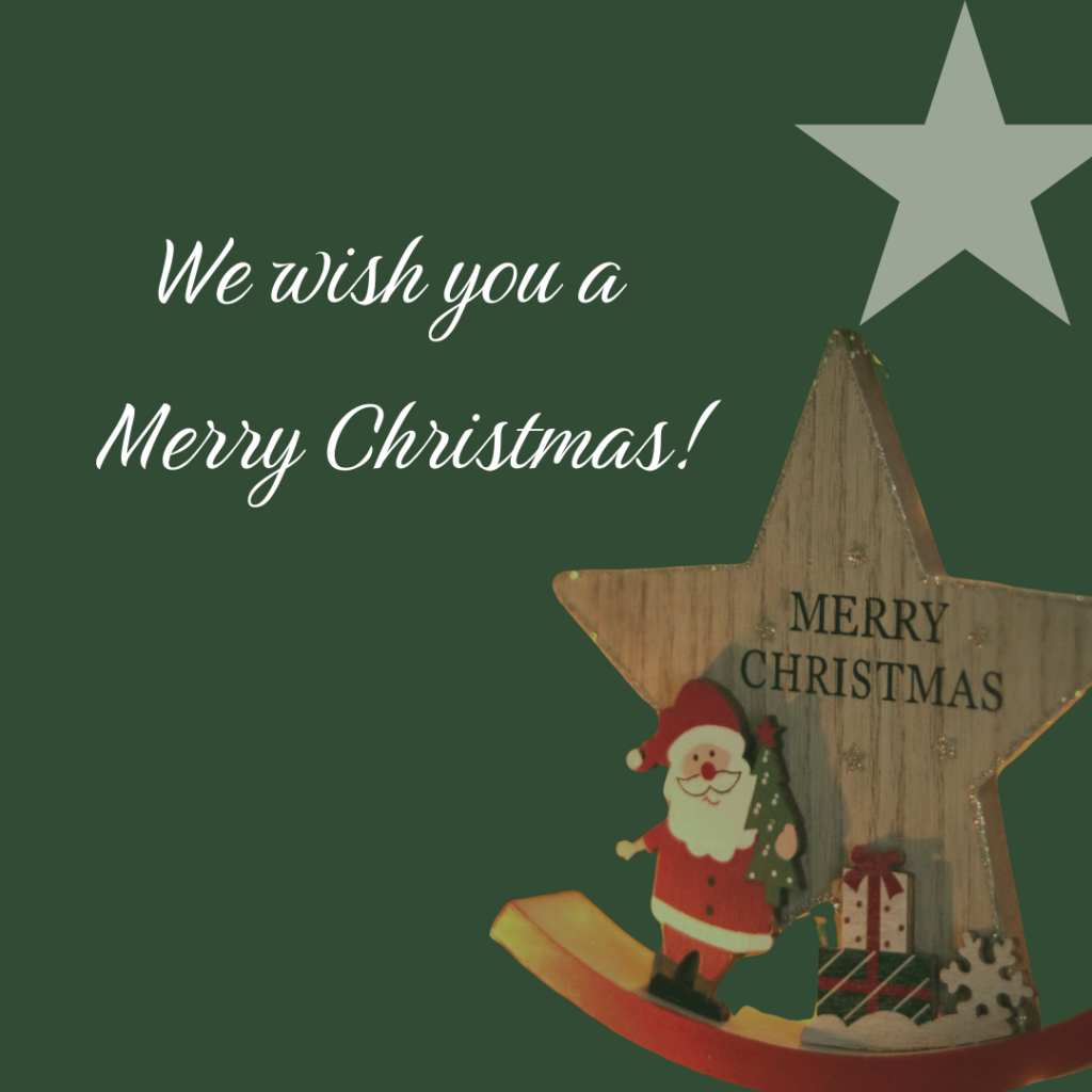 2025 christmas 006 1