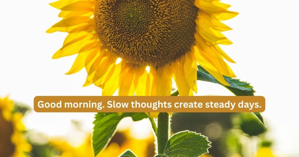 Good morning quotes and wishes 2 good morning