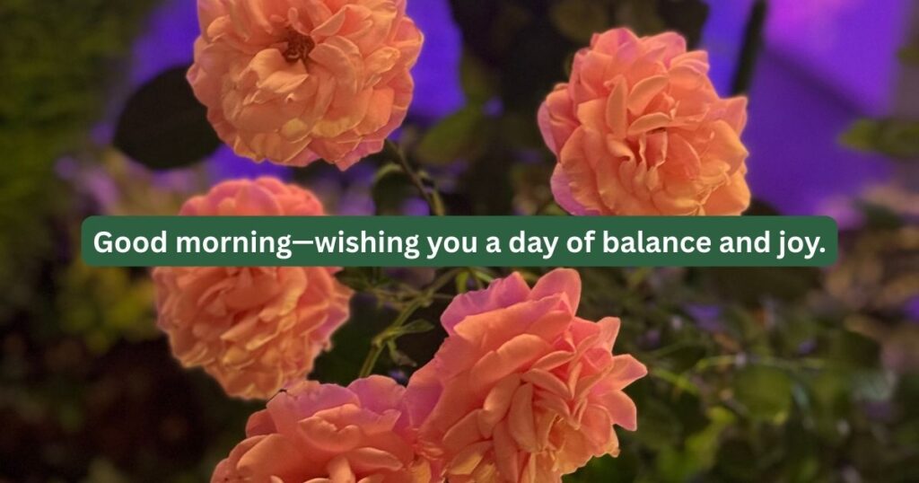 Good morning quotes and wishes 5 goodmorning 7