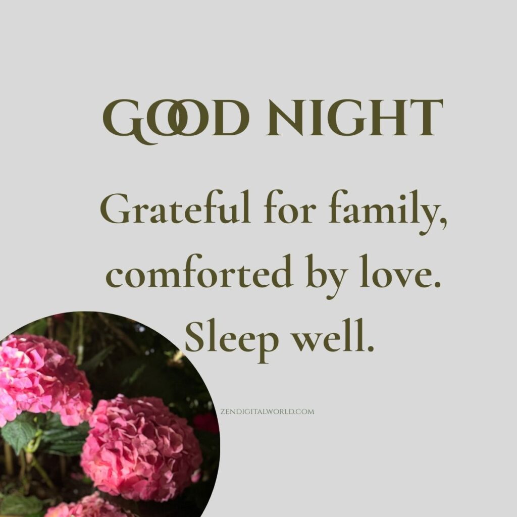 good night family 3