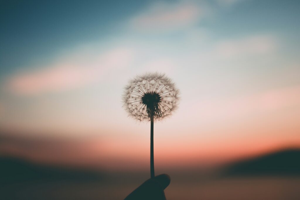 The Silent Weight of Loneliness 17 aleksandr ledogorov G JJy Yv dA unsplash